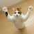 :iconakemikitten122: