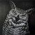 AkemiMaua :iconakemimaua: