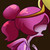 AketA :iconaketa: