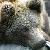 akheron90 :iconakheron90:
