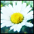 :iconaki-june: