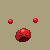 :iconakicheval: