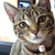 :iconakihito-feather: