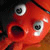 :iconAkime-san: