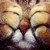:iconakimesshadow: