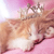 :iconakiminina: