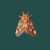 :iconakinabonita: