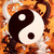 :iconakira-95: