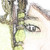:iconakira-kim: