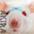 :iconakira-ninja: