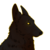 AkiraAnderhill :iconakiraanderhill: