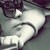 :iconakisster: