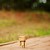 :iconakitophotoworks: