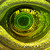 :iconakkfigueira:
