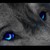 :iconakomiwolf: