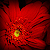 :iconakphotography: