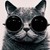 :iconakroma0734: