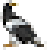 :iconakshayabirdsong:
