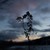:iconakslens: