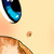 :iconaksulliv: