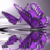 :iconakumanobutterfly: