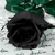 :iconalahranadal: