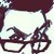 :iconalan-curtis-jr: