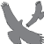 :iconalangrayhawk: