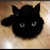 :iconalasair8: