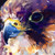 :iconalaseer007: