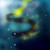 :iconalaskangreywuff: