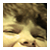 :iconalatenightdrive: