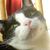 :iconalaudanum: