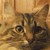 Albaharmamar :iconalbaharmamar: