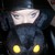 :iconalbinoblacksheep720: