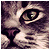 :iconalbirian: