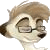 :iconalbus-calx: