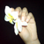 :iconalbusdendranthema: