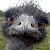 :iconalcathradiel:
