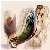 :iconalcoholmixture: