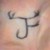 :iconaldhissla-mon: