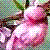 :iconAldieb-The-Westwind: