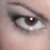 :iconale-sensee: