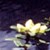 :iconalea-kenn: