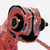 :iconalebrixe: