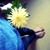:iconaleksandrarose: