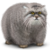 :iconaleksashko: