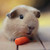 :iconalerm: