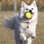 :iconalex-and-rav: