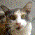 :iconalex-blackfaux: